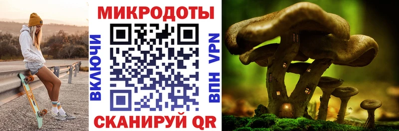 Псилоцибиновые грибы ЛСД  Агрыз 